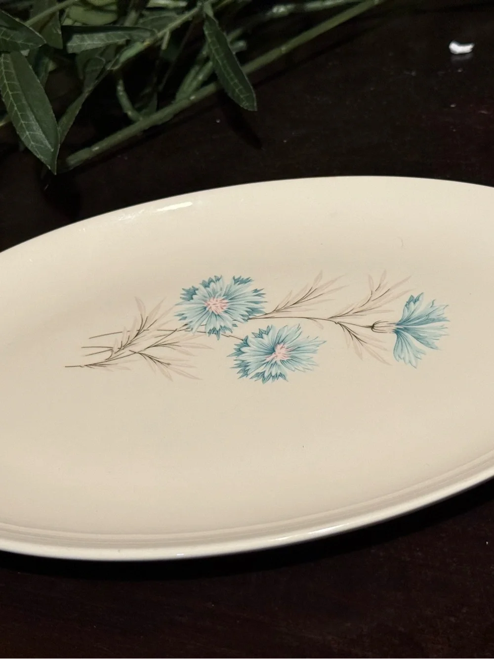 Taylor Smith Taylor smith only floral